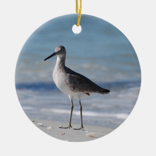 Ornamento del chorlito aflautado (Frente)