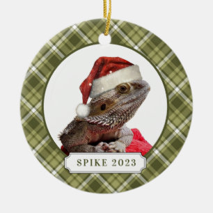 Ornamento del Círculo Cerámico del Dragón de la Ca