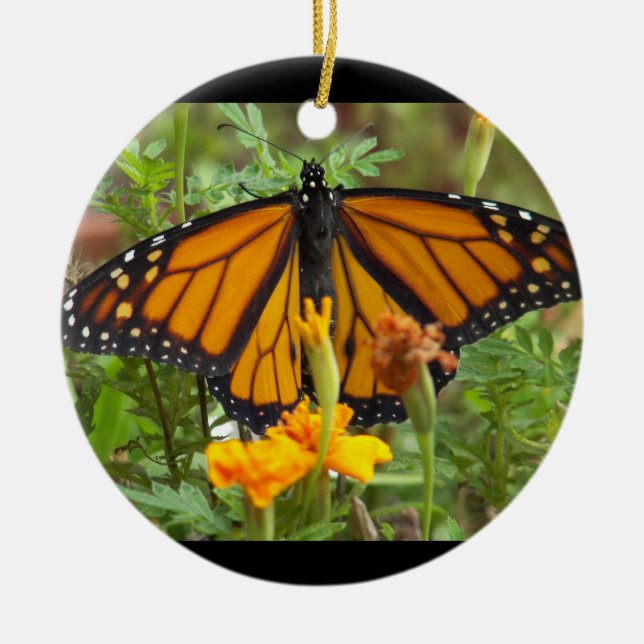 Ornamento del círculo de la mariposa de mi monarca (Frente)
