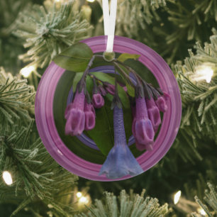 Ornamento del círculo de vidrio Virginia Bluebells