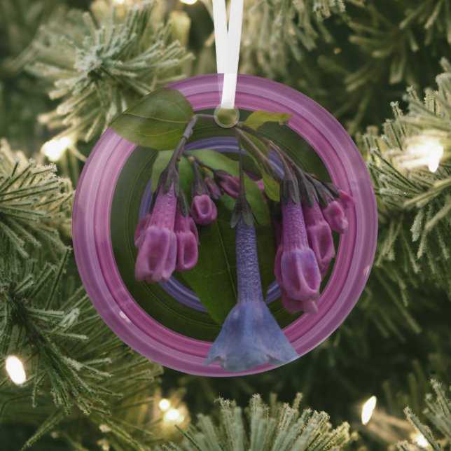 Ornamento del círculo de vidrio Virginia Bluebells (in situ)