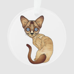 Ornamento del círculo del gato siamés