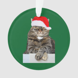 Ornamento del círculo del humor de gatos navidades