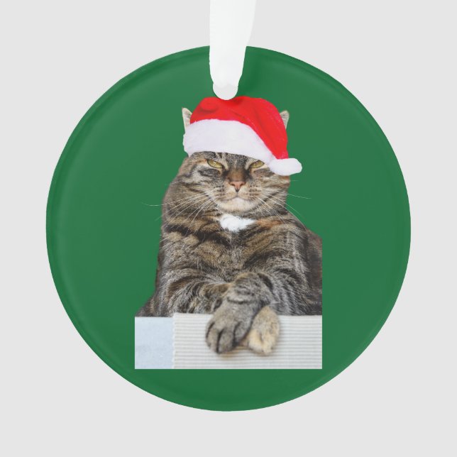 Ornamento del círculo del humor de gatos navidades (Anverso)