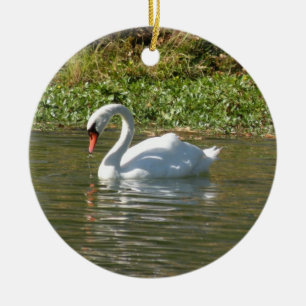 Ornamento del cisne
