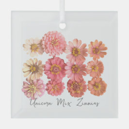 Ornamento del cólera Unicorn Mix Zinnia