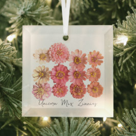 Ornamento del cólera Unicorn Mix Zinnia