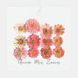 Ornamento del cólera Unicorn Mix Zinnia
