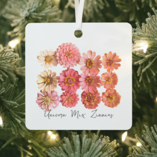 Ornamento del cólera Unicorn Mix Zinnia