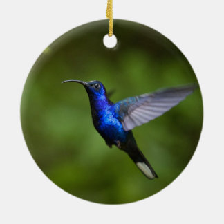 ORNAMENTO DEL COLIBRÍ