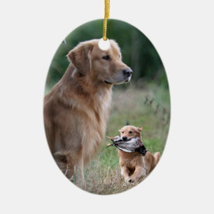 Ornamento del collage del golden retriever