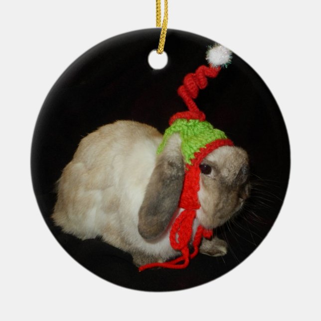 Ornamento del conejo del navidad (Frente)