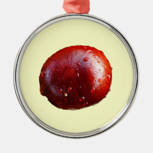 Ornamento del Conker