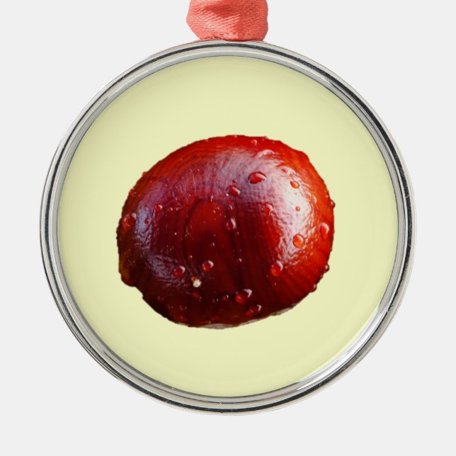 Ornamento del Conker (Frente)