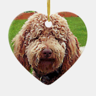 Ornamento del corazón de la pintura del Doodle