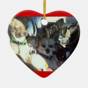 Ornamento del corazón de las chihuahuas