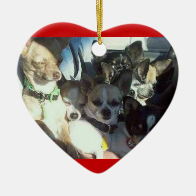 Ornamento del corazón de las chihuahuas (Frente)