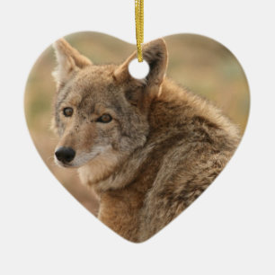 Ornamento del coyote
