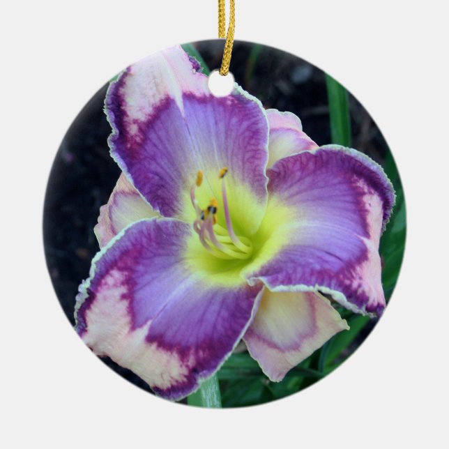 Ornamento del Daylily (Frente)