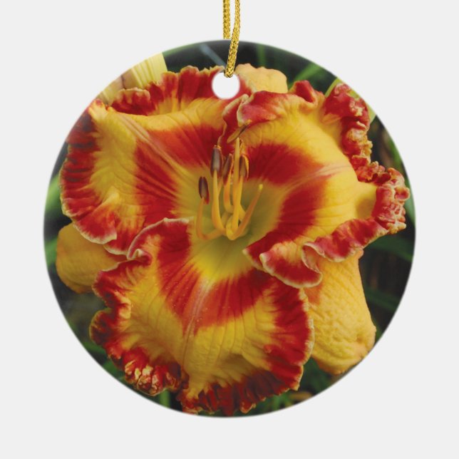 Ornamento del Daylily (Frente)
