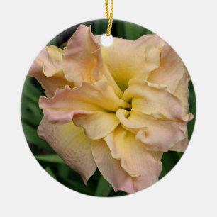 Ornamento del Daylily