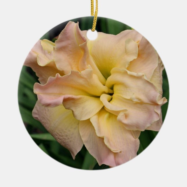 Ornamento del Daylily (Frente)