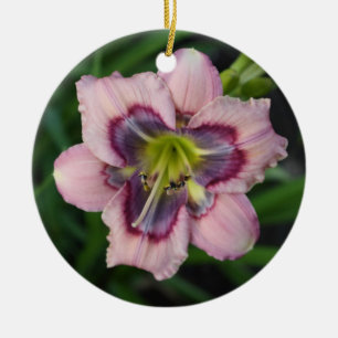 Ornamento del Daylily