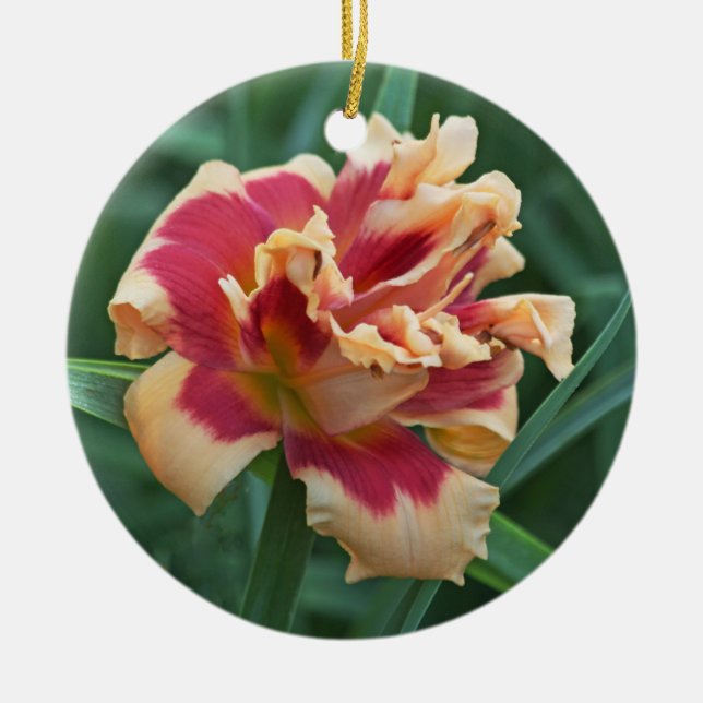 Ornamento del Daylily (Frente)