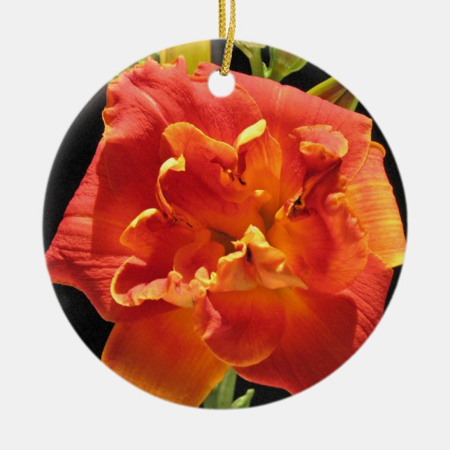 Ornamento del Daylily (Frente)