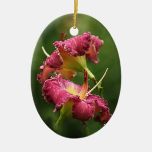 Ornamento del Daylily