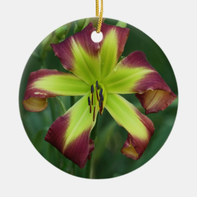 Ornamento del Daylily (Frente)