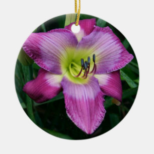 Ornamento del Daylily