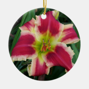 Ornamento del Daylily