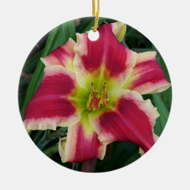 Ornamento del Daylily (Frente)