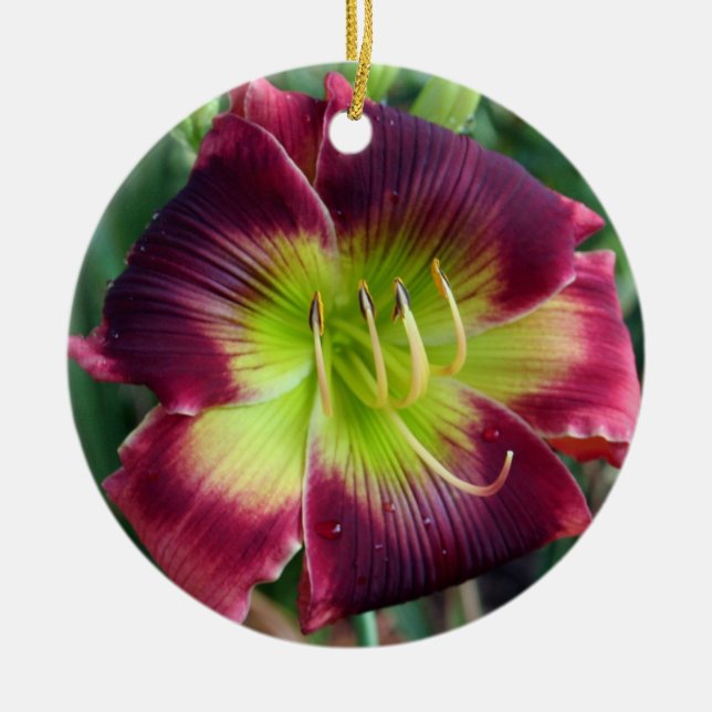Ornamento del Daylily (Frente)