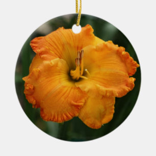 Ornamento del Daylily