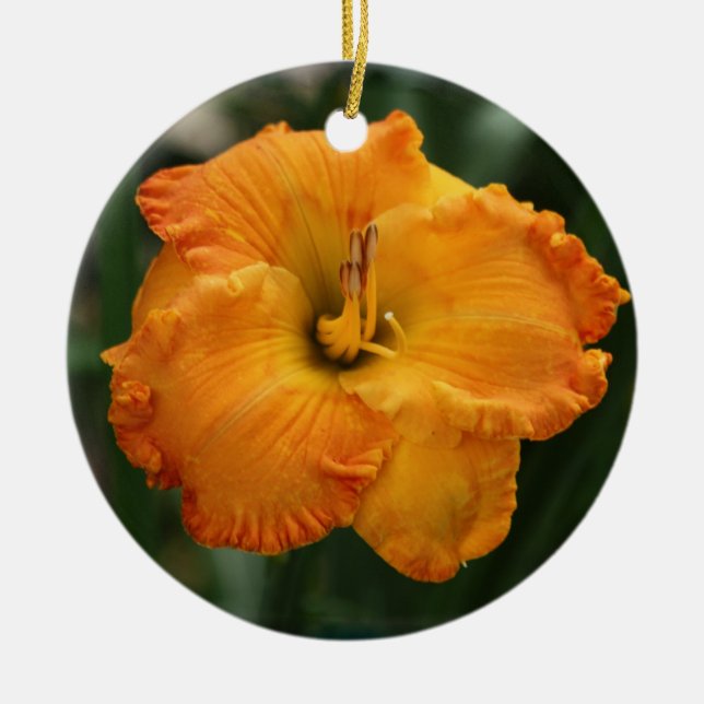 Ornamento del Daylily (Frente)