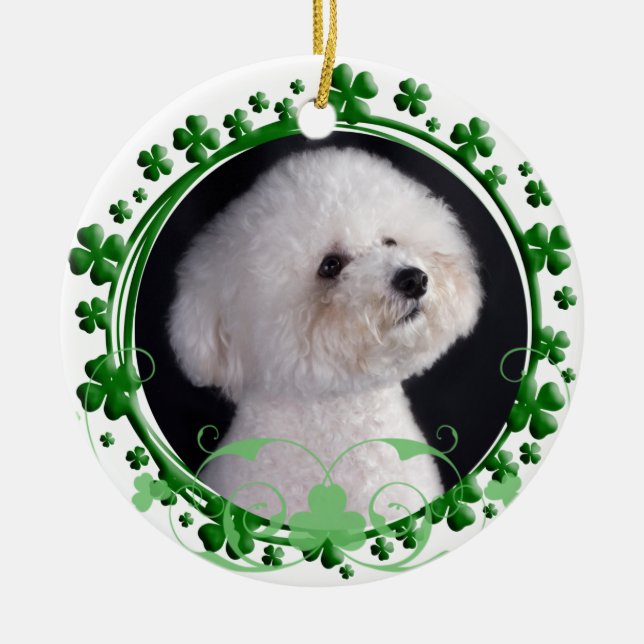 Ornamento del día de Bichon Frise St Patrick (Frente)