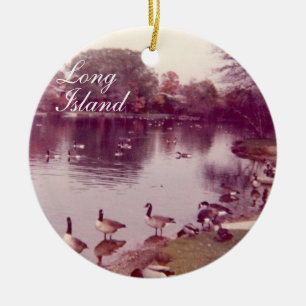 Ornamento del día de fiesta de Long Island del