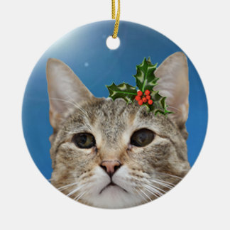 Ornamento del día de fiesta del chica de Haddie