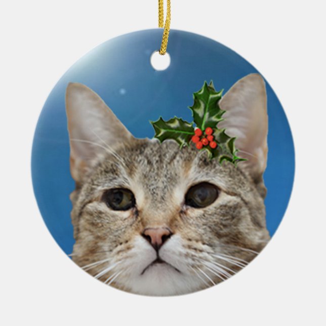 Ornamento del día de fiesta del chica de Haddie (Frente)