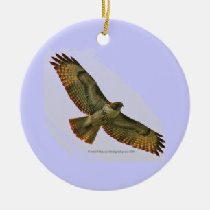 Ornamento del día de fiesta del halcón y del pato