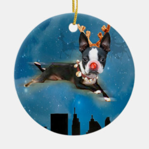 Ornamento del día de fiesta del mirabel de Boston