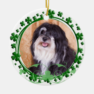 Ornamento del día de Havanese St Patrick