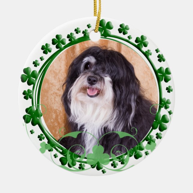 Ornamento del día de Havanese St Patrick (Frente)