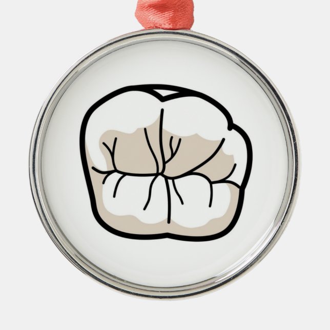 Ornamento del diente (Frente)