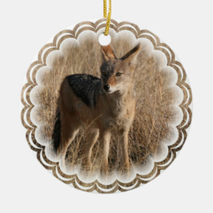 Ornamento del diseño del coyote