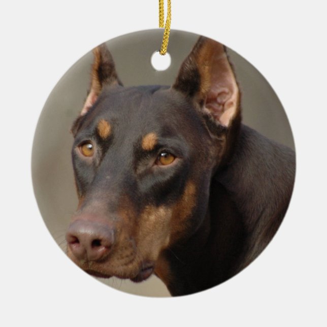 Ornamento del Doberman (Frente)