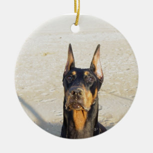 Ornamento del Doberman