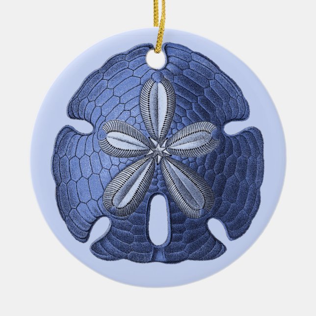 Ornamento del dólar de arena azul (Frente)
